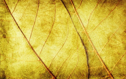 1105368 (a): :1920x1200